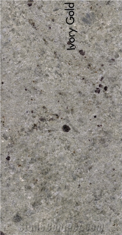 Ivory Gold Granite Slabs