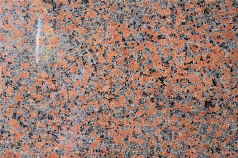 G562 Maple Red Granite Tiles,China Red Granite