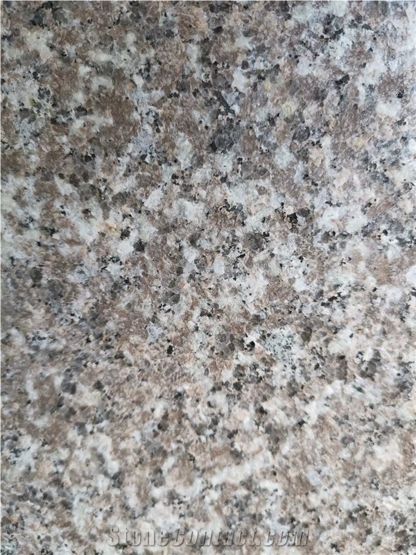 G648 Brown Granite New G664 Flamed Slab