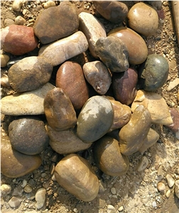 Garden Mixed Pebbles Walkway Pebbles Garden Mixed Pebbles Walkway Pebbles