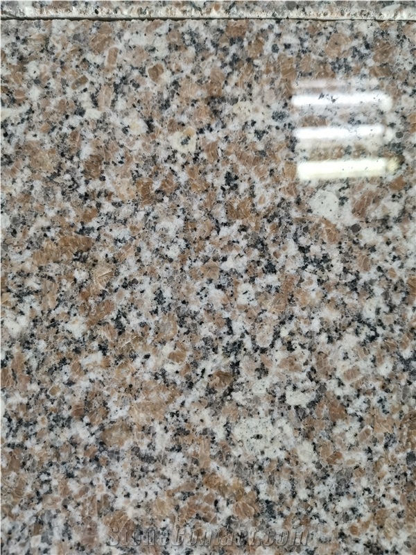 New G664 Granite Cheap Brown Color Granite Slab