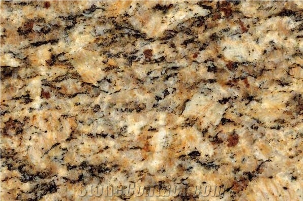 Santa Cecilia Granite Yellow Granite