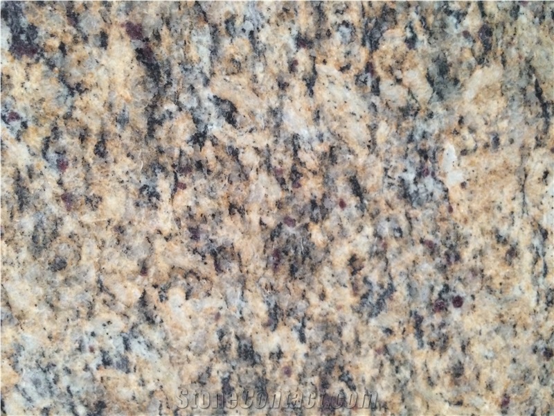 Santa Cecilia Granite Yellow Granite