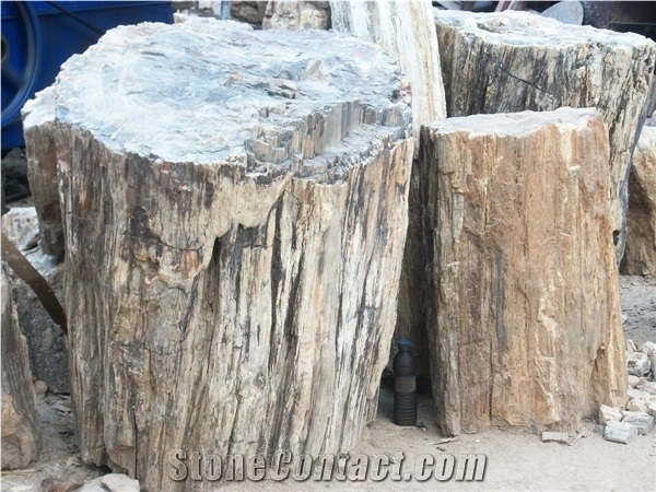 Cutting Natural Petrified Wood