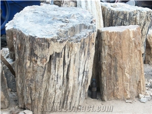 Cutting Natural Petrified Wood