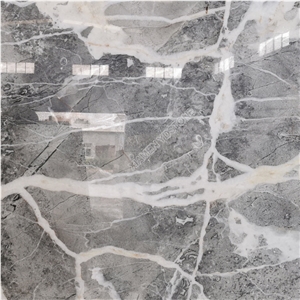 Grey Calacatta Marble
