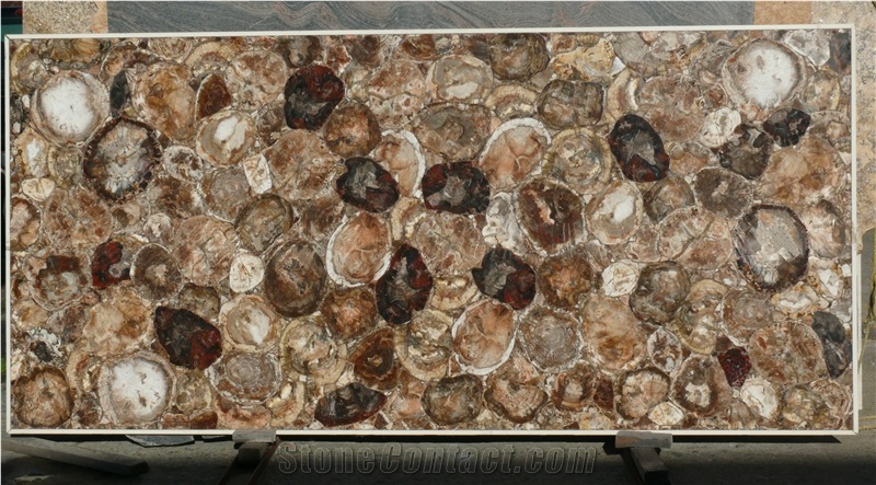 Fossil Brown Stone Petrified Wood Slab