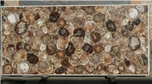 Fossil Brown Stone Petrified Wood Slab