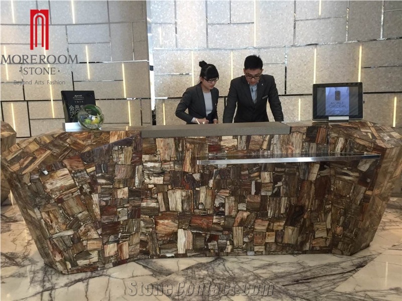 Fossil Brown Stone Petrified Wood Slab