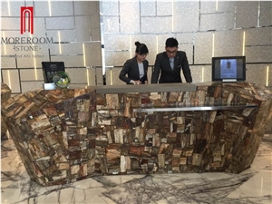Semiprecious Stone Petrified Wood Natural Slabs