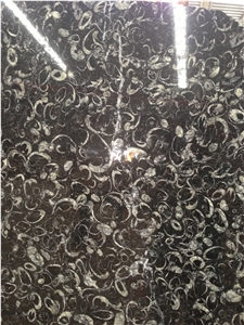 China Black Marble Fossil Sea Shell Tiles Slabs
