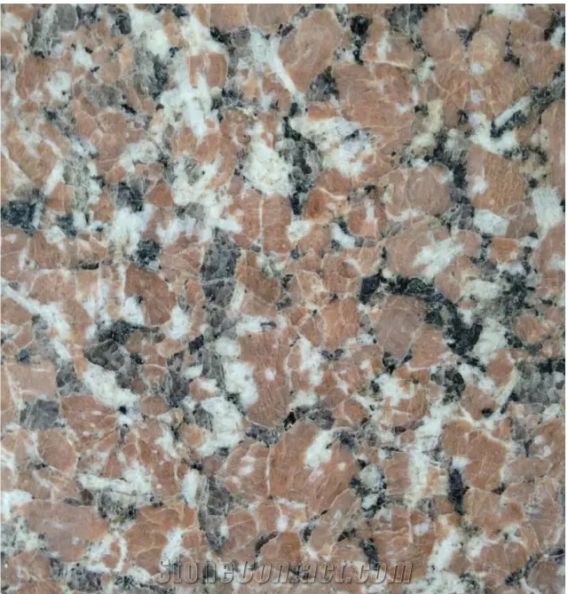 Chinese Red Granite Shidao Tiles Flooring Polished