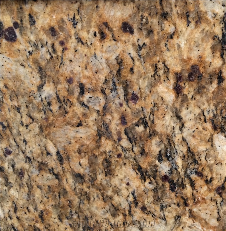 Giallo Santa Cecilia Brazil Granite Tiles Slabs