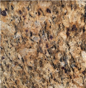 Giallo Santa Cecilia Brazil Granite Tiles Slabs Giallo Santa Cecilia Brazil Granite Tiles Slabs