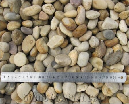 Hand-Picked Colorful Pebble