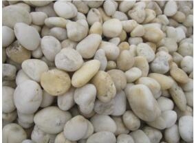 Natural Beige Pebble Stone