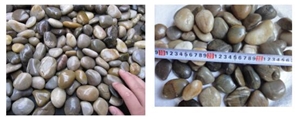 Polished Parti-Colour Pebble River Stone