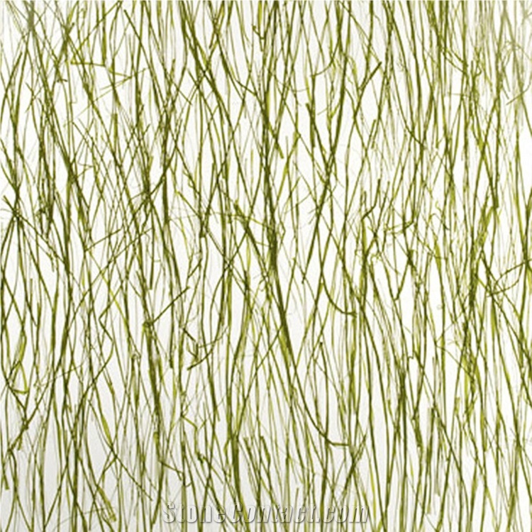 6mm Thick Plant Acrylic Sheet for Window Decor