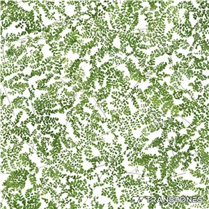Transtones Green Special Design Acrylic Sheet
