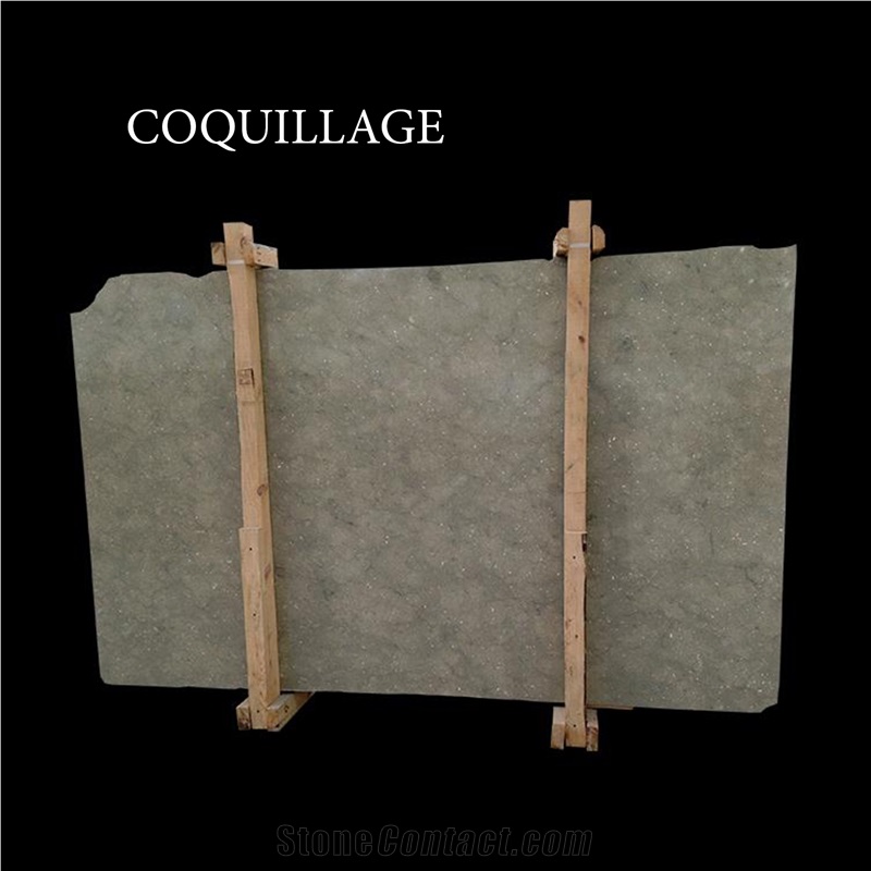 Coquillage, Gray Limestone Slabs