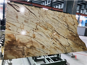 Brazil Roma Quarzite Wall Decor Slabs Gold Tiles
