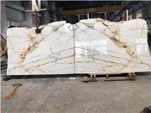 Calacatta Macchia Vecchia Marble Tile Format Italy