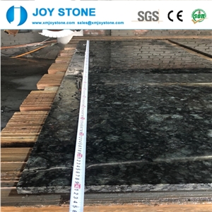High Quality Butterfly Green Granite Polish Slabs