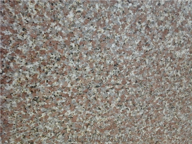 Chima Pink
