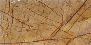 Rainforest Golden