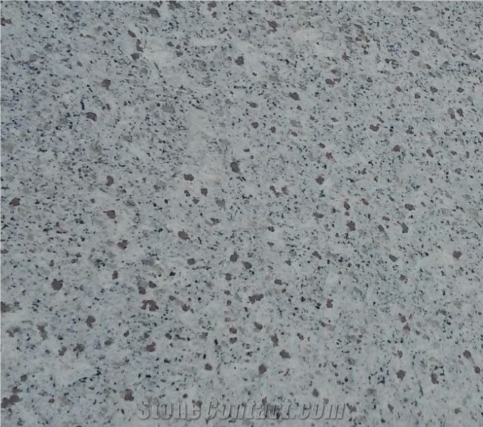 White Galaxy Granite Slab