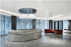Sania Dark Grey Marble Receptions Countertops Tops