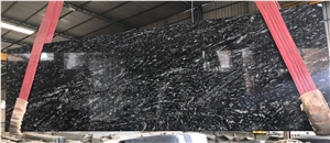 Zebra Black Granite Slabs & Tiles