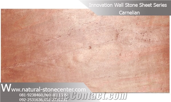 Artificial Stone Veneer