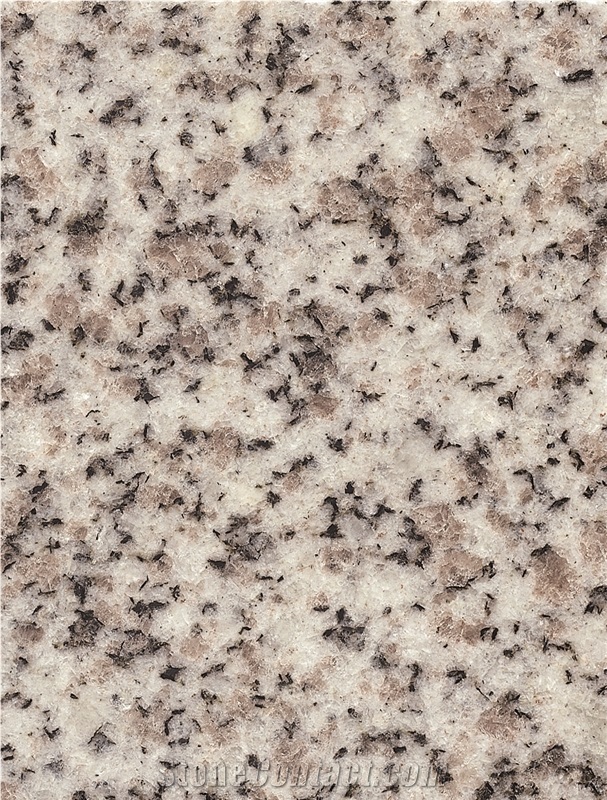 Caesar White Slabs,Tiles,Wall Cladding Polished
