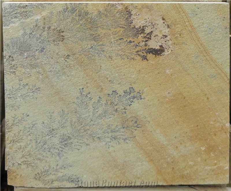 Fossil Mint Sandstone, Sandstone Tiles & Slabs