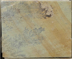 Fossil Mint Sandstone, Sandstone Tiles & Slabs