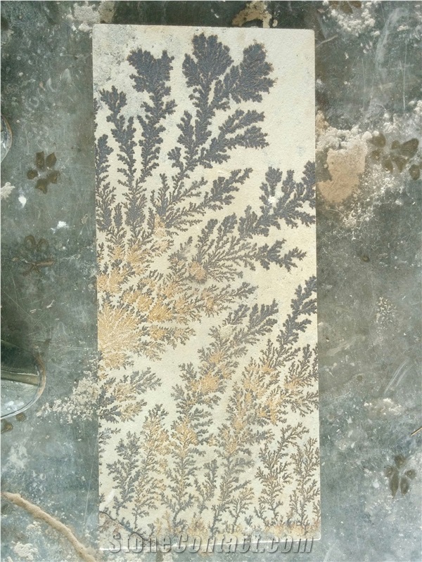 Fossil Mint Sandstone, Sandstone Tiles & Slabs