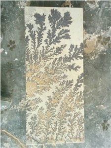 Fossil Mint Sandstone, Sandstone Tiles & Slabs