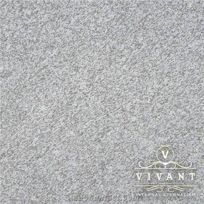 Jasmine White Granite Slabs & Tiles