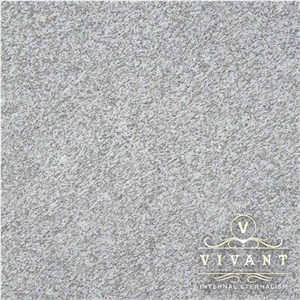 Jasmine White Granite Slabs & Tiles