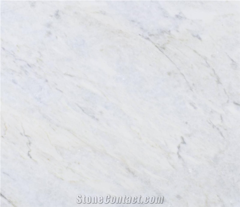 Bianco Delicato Marble Slabs