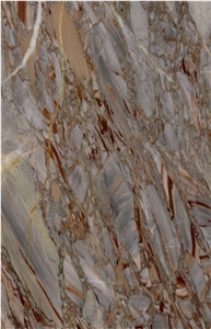 Sarrancolin Versailles Marble Slabs, Tiles
