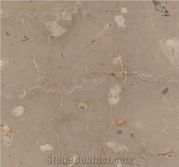 Phoenicia Beige Limestone Tiles