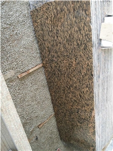 Tiger Skin Granite Slabs & Tiles, India Brown Granite