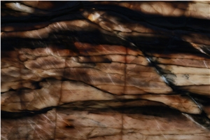 Michelangelo Quartzite Slabs