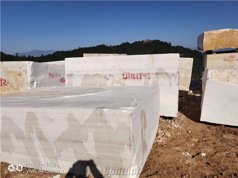 Glossy Bianco Dolomite Marble Slab, Turkey White Floor Tiles