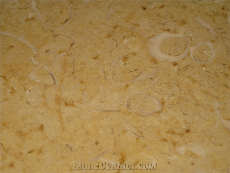 Gold Limestone Brushed Tiles