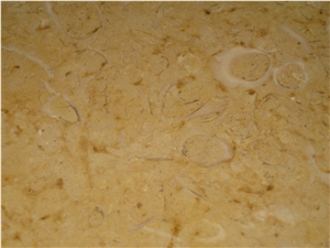 Gold Limestone Brushed Tiles
