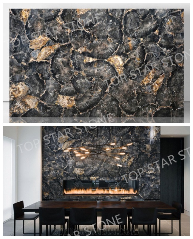 Backlit Semiprecious Petrified Wood Gemstone