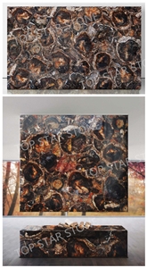 Backlit Semiprecious Petrified Wood Gemstone